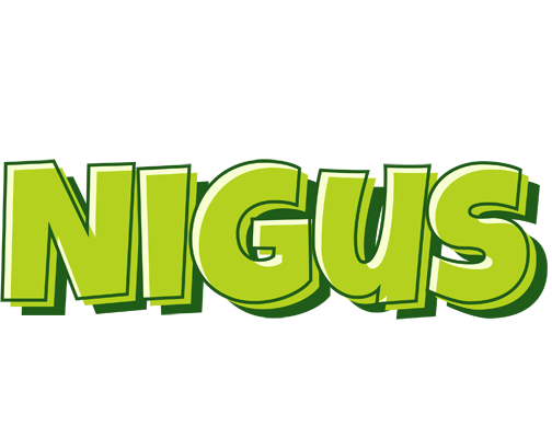 Nigus summer logo