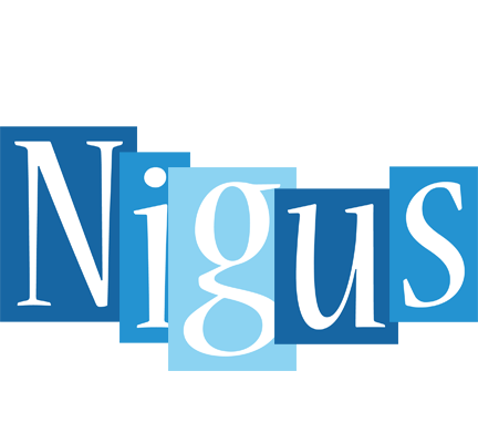 Nigus winter logo
