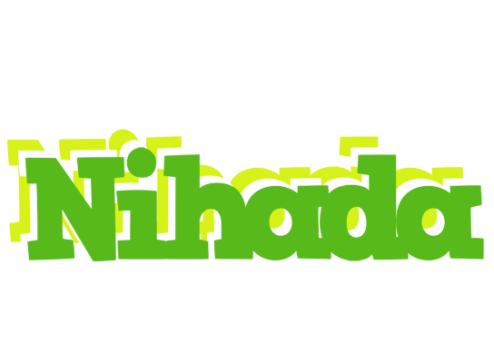Nihada picnic logo