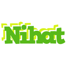 Nihat picnic logo