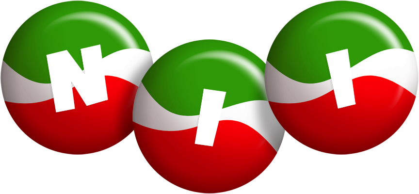 Nii italy logo