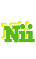 Nii picnic logo