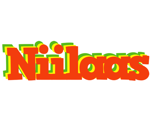 Niilaas bbq logo