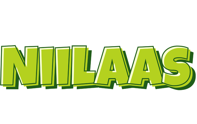 Niilaas summer logo