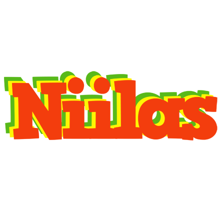 Niilas bbq logo