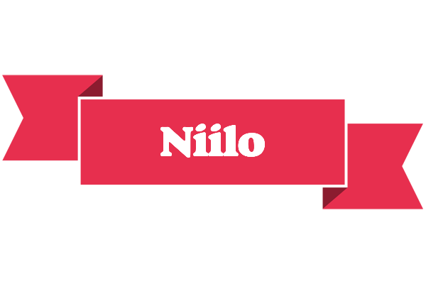 Niilo sale logo