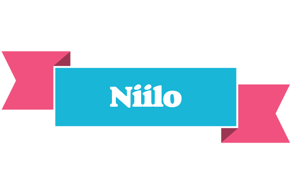 Niilo today logo