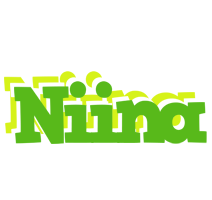 Niina picnic logo