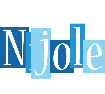 Nijole winter logo