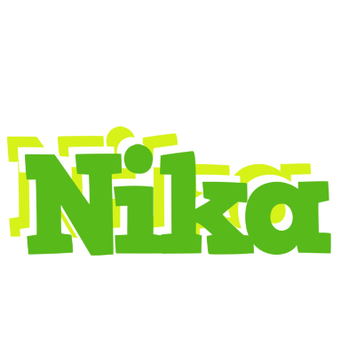 Nika picnic logo