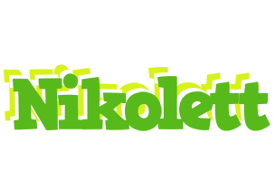 Nikolett picnic logo