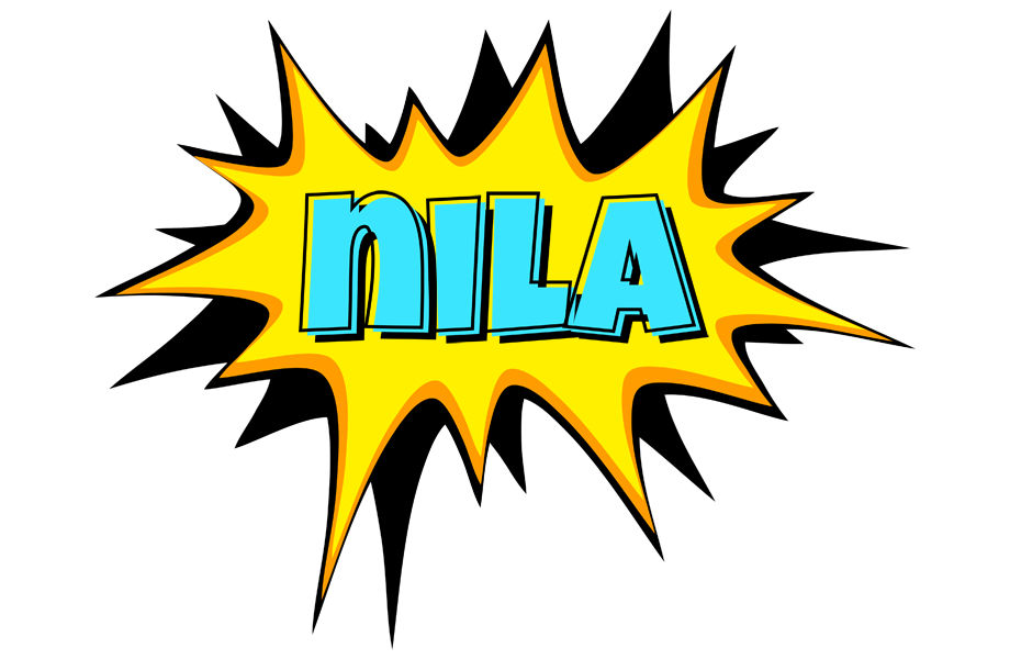 Nila indycar logo