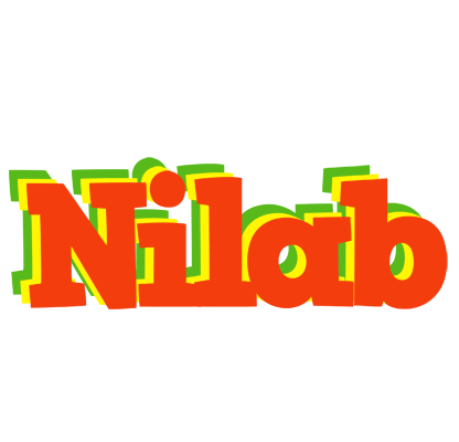 Nilab bbq logo