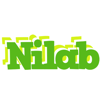 Nilab picnic logo