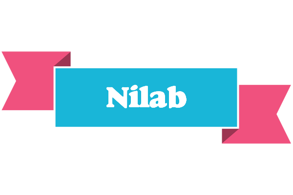 Nilab today logo
