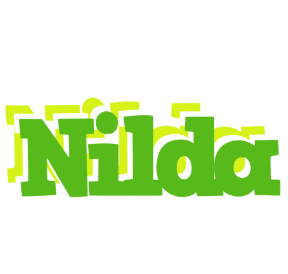 Nilda picnic logo