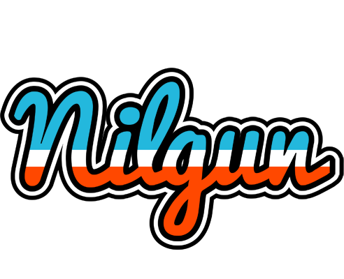 Nilgun america logo