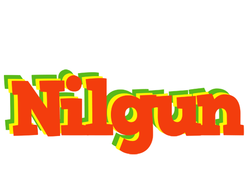 Nilgun bbq logo