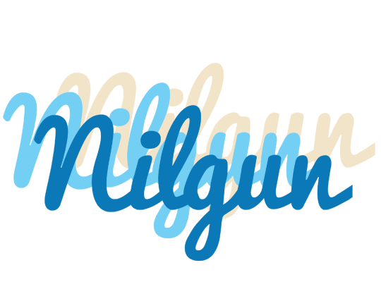Nilgun breeze logo