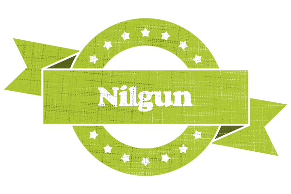 Nilgun change logo