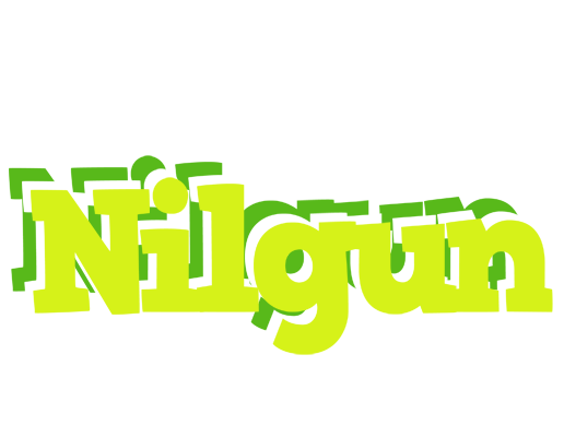 Nilgun citrus logo