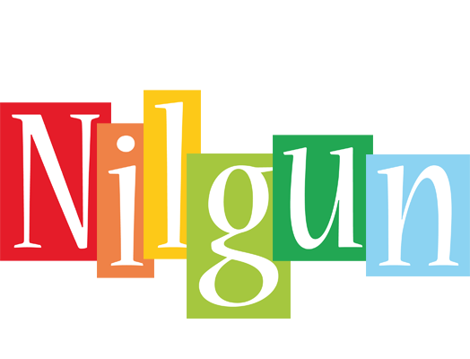 Nilgun colors logo