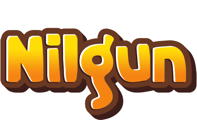 Nilgun cookies logo