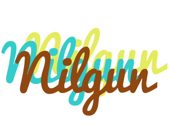 Nilgun cupcake logo