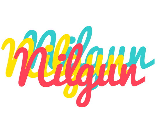 Nilgun disco logo