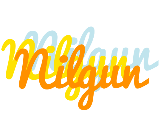 Nilgun energy logo