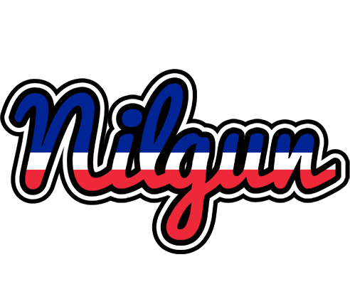 Nilgun france logo