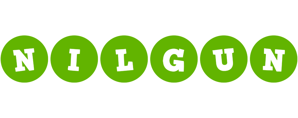 Nilgun games logo