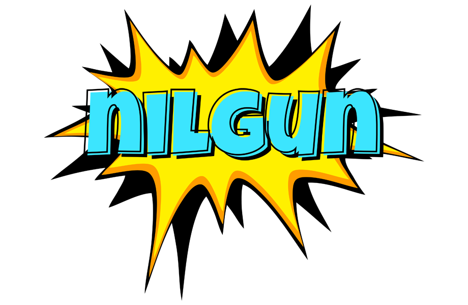 Nilgun indycar logo