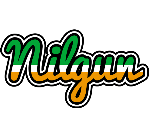 Nilgun ireland logo