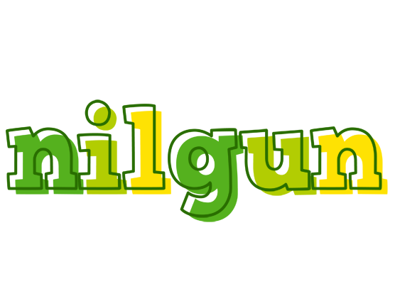 Nilgun juice logo