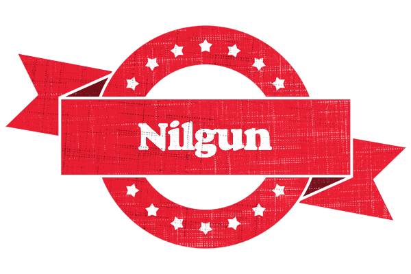 Nilgun passion logo