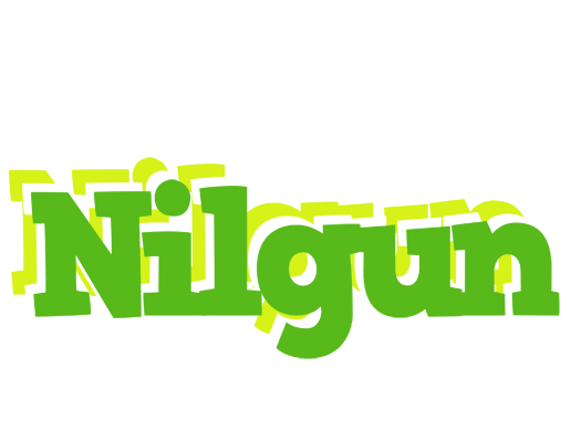 Nilgun picnic logo