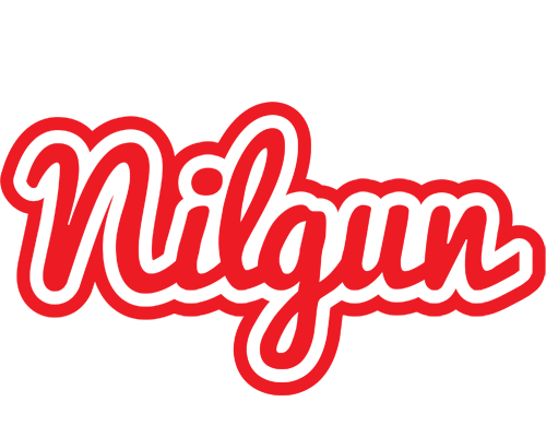 Nilgun sunshine logo