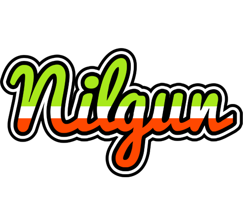 Nilgun superfun logo
