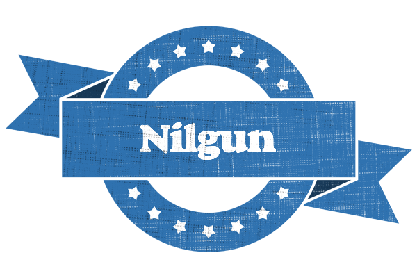 Nilgun trust logo