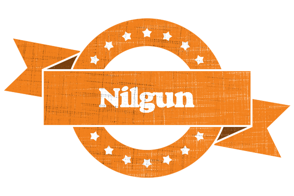 Nilgun victory logo