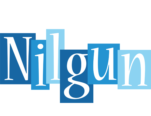 Nilgun winter logo