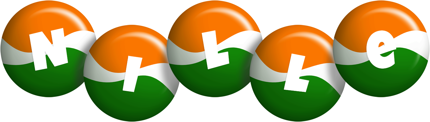 Nille india logo