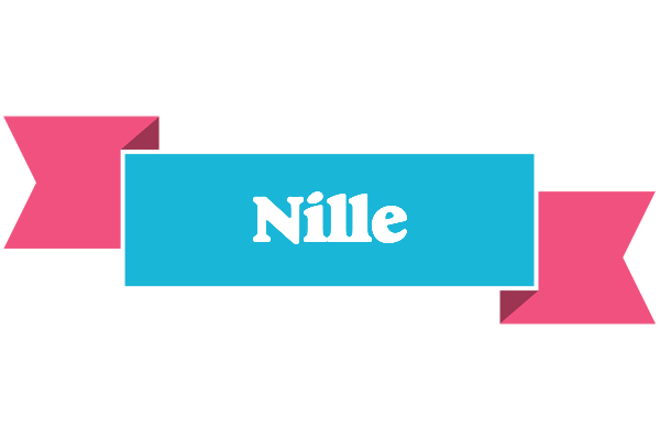 Nille today logo