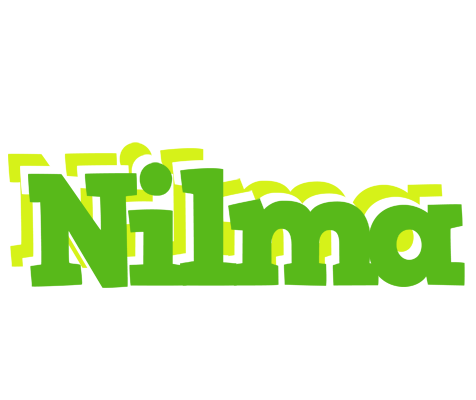 Nilma picnic logo