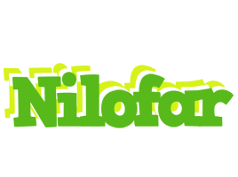 Nilofar picnic logo