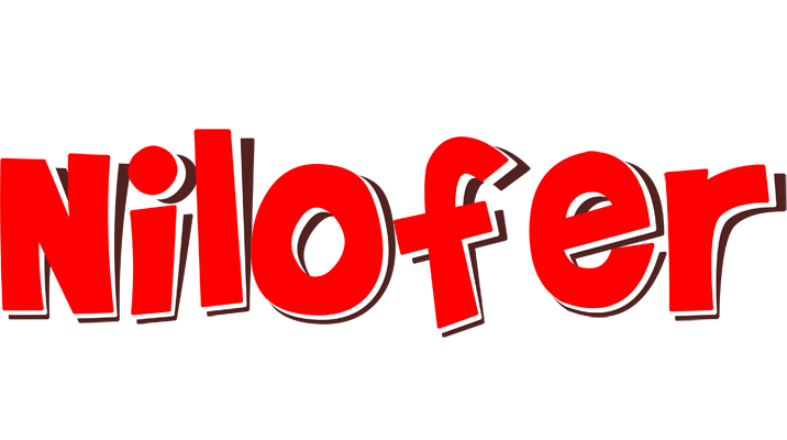 Nilofer basket logo