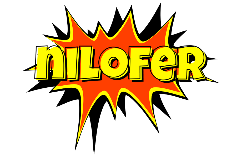 Nilofer bazinga logo
