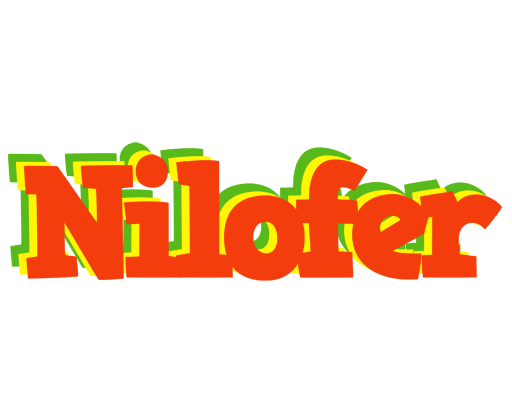 Nilofer bbq logo