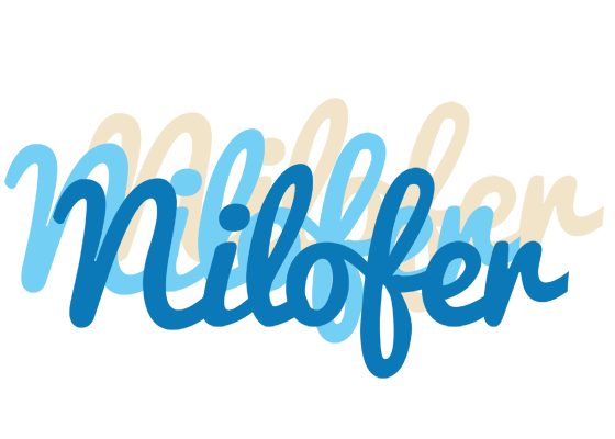 Nilofer breeze logo